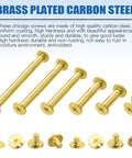 Premium Pro Grade Chicago Screws Assortment Kit M5 Brass Plated Binding Screw Posts showing various lengths and styles.