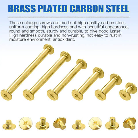 Premium Pro Grade Chicago Screws Assortment Kit M5 Brass Plated Binding Screw Posts showing various lengths and styles.