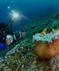Diver using Underwater Touchscreen Phone Case For iPhone 12 13 14 15 Pro And Pro Max Waterproof To 60 Meters near coral reef.