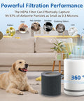 Top Notch Air Mini Replacement Filters 3 In 1 High Efficiency Filtration With Activated Carbon showing filtration performance chart