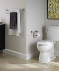 Traditional Toilet Paper Holder With Assist Bar For Seniors ADA Compliant Stainless Steel Grab Bar beside toilet