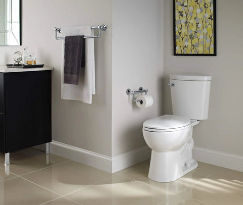 Traditional Toilet Paper Holder With Assist Bar For Seniors ADA Compliant Stainless Steel Grab Bar beside toilet