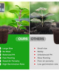 Comparison of Pro Grade Grow Sponges Seed Starter Plugs and other plugs with features listed, showing plant growth