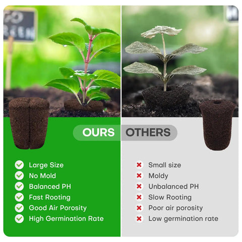 Comparison of Pro Grade Grow Sponges Seed Starter Plugs and other plugs with features listed, showing plant growth
