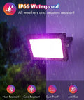 35W RGBW LED Flood Lights 3500LM Outdoor Security Floodlights IP66 Waterproof in rain showcasing weather resistance