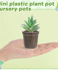Clear 2 Inch Mini Plastic Plant Pots 200 Pack Seedling Starter Pots With Drainage Holes For Indoor Outdoor Garden Use
