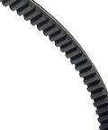 Replacement Drive Belt 6231 For Walk Behind Mower Drive Systems, Heavy Duty, Durable, Easy Install, Long Lasting Performance For Lawn And Garden Equipment black toothed belt close-up