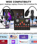 Two-Mic Podcast Studio Bundle With Dual BM800 Cardioid Condenser Mics, Pop Filters, Adjustable Desk Arm Stands, and Live Sound Card