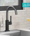 Oletto Single Handle Kitchen Bar Faucet In Matte Black And Spot Free Black Stainless Steel Finish For Kitchen Sinks