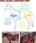 Sizing guide and red-black Durable Horse Driving Harness For Single Horse Cart with chrome-plated buckles and designer studs.