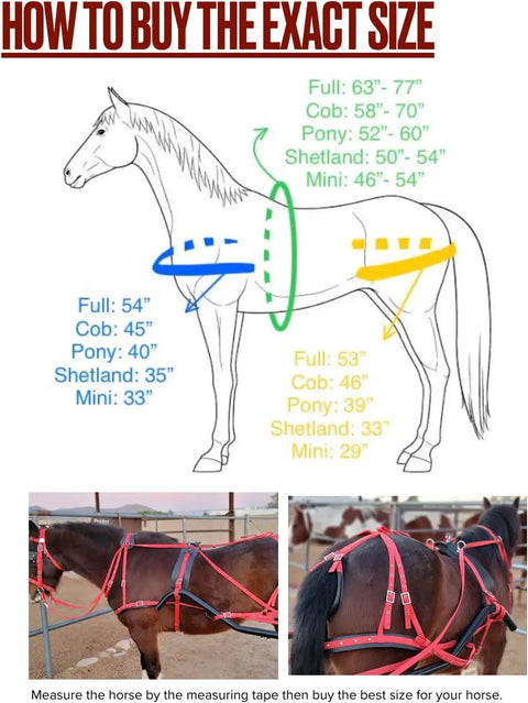 Sizing guide and red-black Durable Horse Driving Harness For Single Horse Cart with chrome-plated buckles and designer studs.