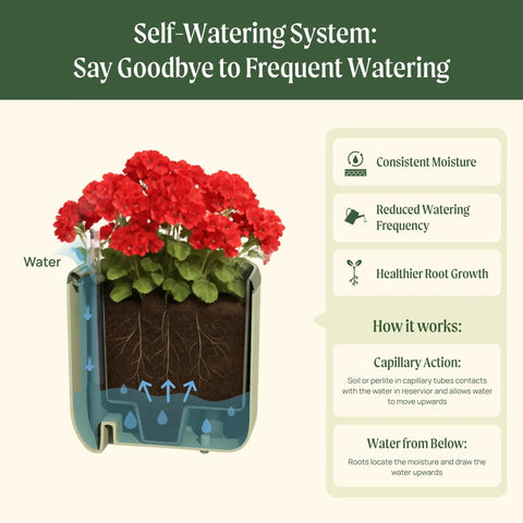 Cutaway view of Indoor Garden Mini Planter With Trellis Self Watering System showing capillary action for climbing vegetables and herbs