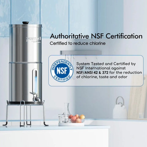 2.25 Gallon Gravity Water Filter System With Water Level Window, 3-Stage Filtration, 0.01 Micron Ultrafiltration, Stainless Steel Countertop Setup With Two Filters And Stand, Reduces Chlorine By 99 Percent, Easy, Durable, No-Hassle Fresh Water shown on kitchen counter