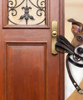 Dog holding leash in mouth peering through wooden door with decorative wrought iron design