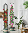 Double Pack Garden Obelisk Trellis For Climbing Plants Outdoor 6.2 Ft Support Cage For Roses in pots inside a living room
