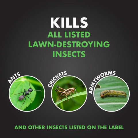 Triazicide Insect Killer For Lawns Granules Kills Lawn Insects Above And Below Ground Including Ants Crickets Armyworms
