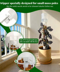 Adjustable Moss Pole Watering Dripper Pro with flow control for precise moss pole irrigation, installed on a potted plant.