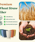 Eco Friendly Wheat Straw Cups Set Unbreakable Drinking Glasses Stackable 12 Oz Tumblers For Kitchen Camping Party RV Dishwasher Freezer Microwave Safe 6 Pack with premium wheat straw fiber and BPA-free label.