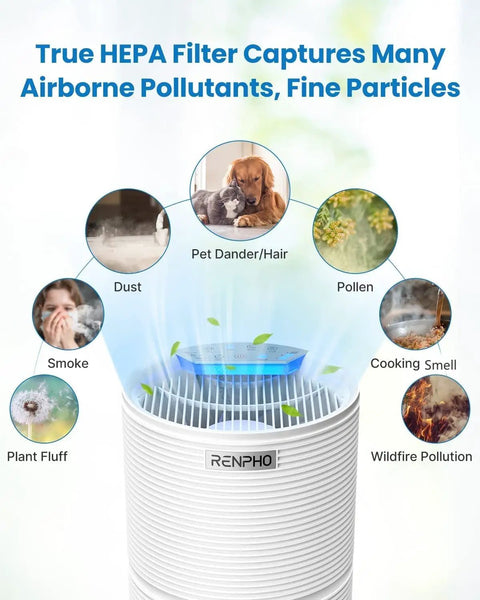True HEPA Replacement Filter For RP-AP088W And RP-AP088B Air Purifier capturing smoke, pollen, dust, pet hair, and allergens.