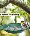 Hanging Bird Bath And Feeder Bowl For Outdoors 12 Inch With Chains Durable Weather Resistant PP Antique Green with bird perched.