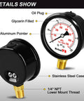 Lead Free 100 PSI Two Point Five Inch Pressure Gauge With Stainless Steel Case Liquid Filled details with labels