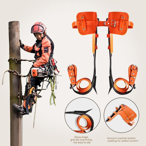 Pro Grade Tree Climbing Spikes Set With Alloy Steel Spurs And Adjustable Cowhide Leather Straps, worn by arborist on pole