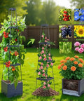 Two Pack Tomato Planters With Trellis, 56 Inch Tomato Cages For Indoor And Outdoor Climbing Plants, Self Watering Vertical Garden Beds for Patio, with various plants like roses and tomatoes.