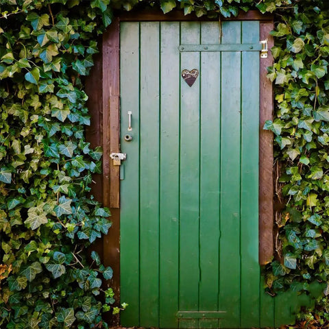 Four Pack Heavy Duty T Format Door Hinges Built Like A Tank For Shed Or Barn Gates Rock Solid Matte Finish on green door framed by ivy.