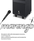 Handheld Wired Cardioid Dynamic Microphone With 13ft Cable And On Off Switch shown with speaker and adapters for live gigs.