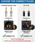 Choose the correct plugs guide showing standard banana plugs vs pin plugs with binding posts and spring-loaded terminals.
