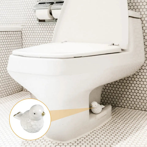 Duck Design Ceramic Toilet Bolt Covers 2 Pack Universal Fit Screw Caps hiding rusty bolts under a white toilet, with duck design.