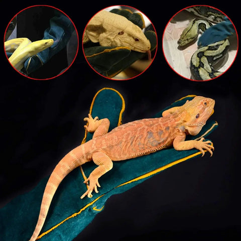 Heavy-Duty Leather Bite-Proof Animal Handling Gloves 23.7 Inch holding various reptiles for safe handling