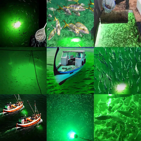 Collage of Underwater Fishing Light IP68 12V Green LED illuminating fish in rivers and lakes for night fishing.