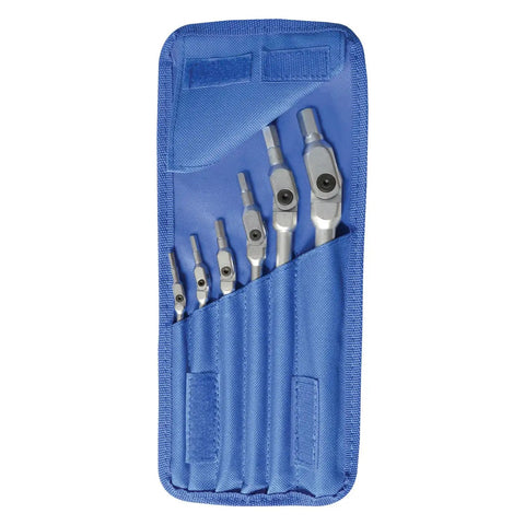 Pivot Head Hex Pro Wrench Set 3 4 5 6 8 10mm Six Piece Chrome Wrenches With Pouch displayed in blue carrying case