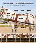 Diagram of Three Tone Leather Horse Driving Harness For Single Horse Cart With Designer Conchos All Over Stainless Steel Hardware Shetland Size Natural Brown Red Finish
