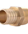Brass Crimp Male Reducing Adapter 1 Inch To Three Quarters Inch MNPT For Pex Pipe To Copper FNPT Connections Plumbing Fitting