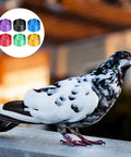 Pigeon with 18 Piece Aluminum Pigeon Rings Colorful Bird ID Bands For Pigeon Feet Tagging And Leg Marking Reusable Lightweight Bird Bands