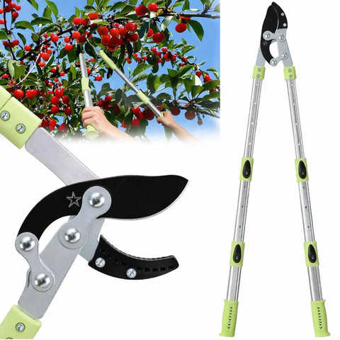 Heavy Duty Extendable Branch Loppers For Pruning 25 To 44 Inch Reach With Lightweight Anvil Loppers Cuts Up To 2 Inch Thick Branches Using Multi Pivot Leverage For No Sweat Easier Tree Limb Trimming in use on a fruit tree.