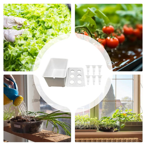 Collage of Six Hole Hydroponic Growing Box System for Indoor and Outdoor Gardens with vegetables and greens