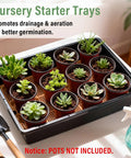 5 Pack Nursery Pots Trays with Removable Mesh Drainage Mats, showing succulent plants in starter trays, BPA Free, 17x12x3.5 inches.