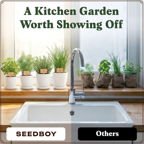 Indoor Outdoor Herb Garden Starter Kit With 10 Planter Pots Trays Coco Coir Discs 10 Plant Markers And 10 Premium Herb Seeds Non GMO USDA Certified Easy Grow Kit For Beginners A Cool Gift For Gardeners And Plant Lovers displayed on a kitchen windowsill.