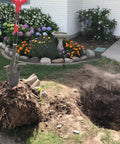Heavy Duty Garden Shovel With Serrated Blade For Root Cutting And Digging In Tough Soil near dug-up root ball in yard