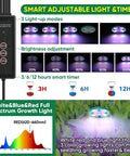 Three color growing light timer settings for Self Watering Seed Starter Tray Kit With Grow Light And Humidity Dome No Guesswork Watering