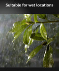 Rain on leaves illustrating weatherproof feature of Econic Up Outdoor Smart Wall Light Black With E26 Base White And Color Ambiance LED Bulb
