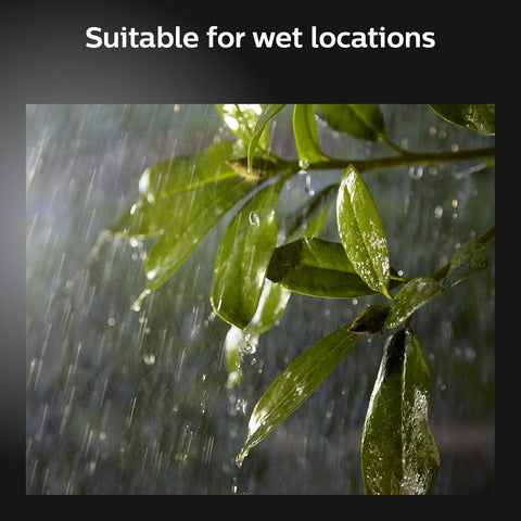 Rain on leaves illustrating weatherproof feature of Econic Up Outdoor Smart Wall Light Black With E26 Base White And Color Ambiance LED Bulb
