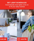 Alexa Compatible Smart LED Bulbs 100W Equivalent used in kitchen and living room for scheduled lighting at 6:00 AM and 6:00 PM