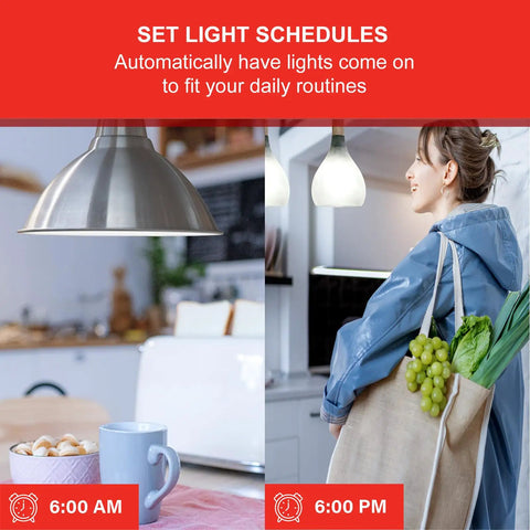 WiFi Smart Light Bulbs That Play Nice With Alexa And Google Assistant A19 Daylight 5000K in kitchen and person carrying groceries