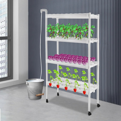 4 Layer Hydroponics Growing System With Water Pump And Timer, 108 Plant Sites Indoor Garden Kit setup with plants indoors