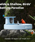 Solar Powered Bird Bath Camera With Dual Lens For Wild Bird Watching Real Time Views And Auto Video Capture Motion Detection Alerts Fountain Fun Sturdy Stand AI Lifetime displayed on a rock with birds and nature in the background.