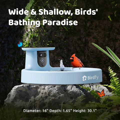 Solar Powered Bird Bath Camera With Dual Lens For Wild Bird Watching Real Time Views And Auto Video Capture Motion Detection Alerts Fountain Fun Sturdy Stand AI Lifetime displayed on a rock with birds and nature in the background.